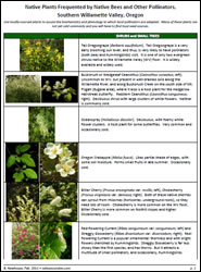 Native Plants Frequented by Native Bees